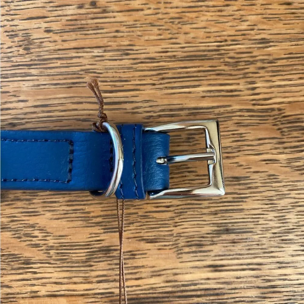 Project Blue Eco Friendly Dog Collar in Blue. Size XS. NWT